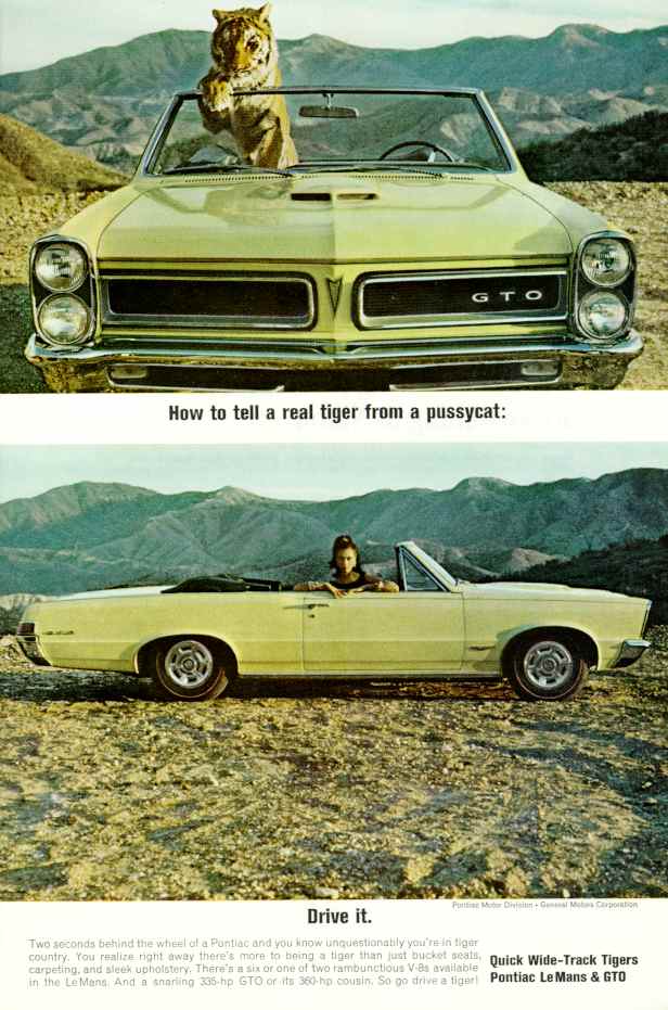 1965 Pontiac 2